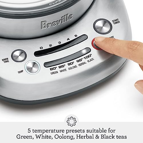 4 Cup Compact Tea Maker and Water Kettle with Glass Infuser